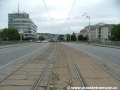 Táhlý levý oblouk tramvajové tratě ve středu mostovky Hlávkova mostu