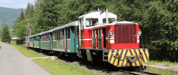 Vlak vedený motorovou lokomotivou TU45.001 zajišťuje pravidelnou dopravu mezi Čiernym Balogom a Vydrovom. Modernizace této motorové lokomotivy, dodané v roce 1961 na Lesní železnici Viglaš, byla ukončena v roce 2005. | 8.8.2020