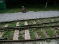 V roce 2006 byla u příležitosti 50. let provozu Dětské železnice ve stanici Čermeľ umístěna pamětní deska | 8.8.2010