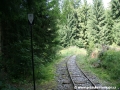 Nepoužívaný úsek tratě ke stanici Chmúra je nejvzácnějším úsekem s několika úvratěmi, v levé části snímku vidíme další skloník, následující bude jen po 80 metrech | 11.8.2010