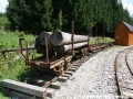Na nezapojené koleji v areálu stanice Tanečník jsou odstaveny oplenové vozy dokumentující přepravu dřeva | 11.8.2010