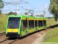 Solaris Tramino S105P ev.č.556 s Karosákem kochajícím se krajinou :-) přijíždí do smyčky Osiedle Sobieskiego. | 1.7.2012