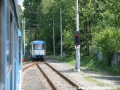 Ve výhybně Vřesina je užita železniční výhybka. Bohužel nebo právě bohudík přes ní přejíždí tramvajový vůz | 23.5.2009