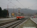 Ať je vedro nebo zima, tramvaji na S49 je vždycky príma. :-) Bratislava, Damborského | 30.12.2008