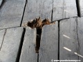 Po létech je již patrné poškození dřevěných trámů v podlaze. | 22.5.2012