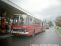 Linka 215 byla rovněž výkladní skříní ikarusů – na snímku je vůz ev.č.4531 v nástupní zastávce Kačerov. | 8.7.1998