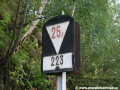 Skloník nás informuje o tom, že v následujícím traťovém úseku dlouhém 223  metrů v zastávce Dolní Polubný nás čeká klesání 25‰. | 11.9.2011